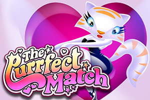 the-purrfect-match